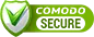 Secure Logo